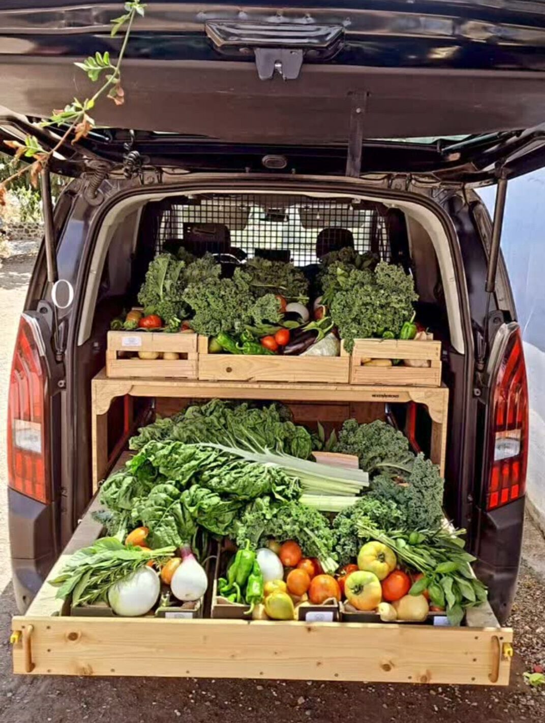 Caja mixta huerta de temporada, Raíces Cercanas