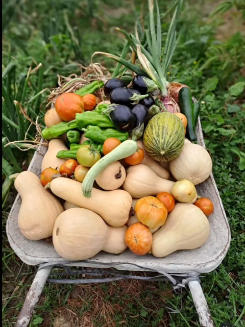 Caja mixta huerta de temporada, Raíces Cercanas